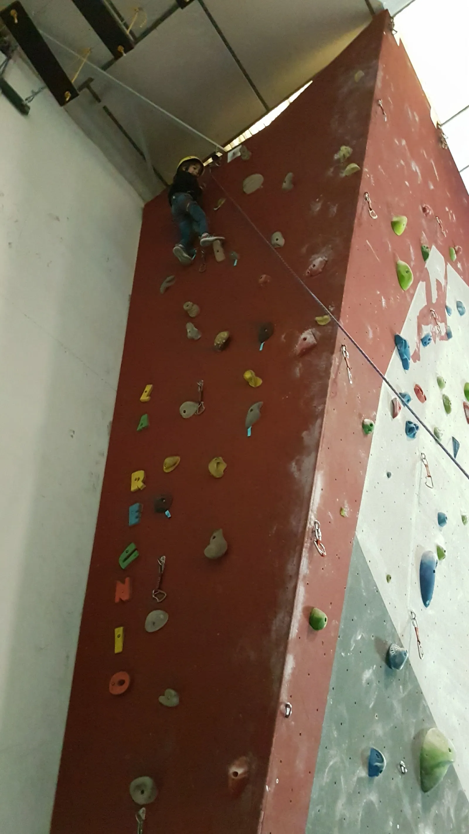 Rocòdrom CCT21 - Club d'escalada de competición — escalada-studio en Pallejà — 3