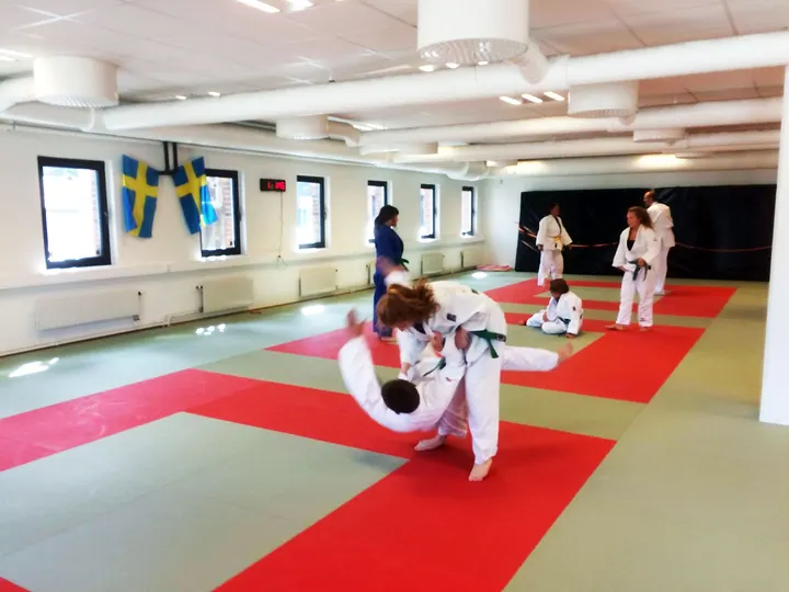 Trelleborg Judo — kampsport-studio i Trelleborg — 3