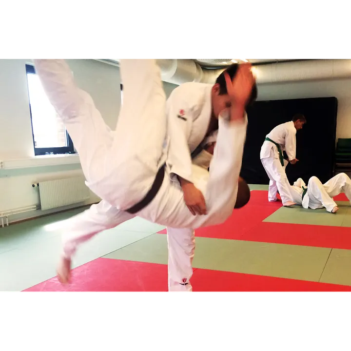 Trelleborg Judo — kampsport-studio i Trelleborg — 4