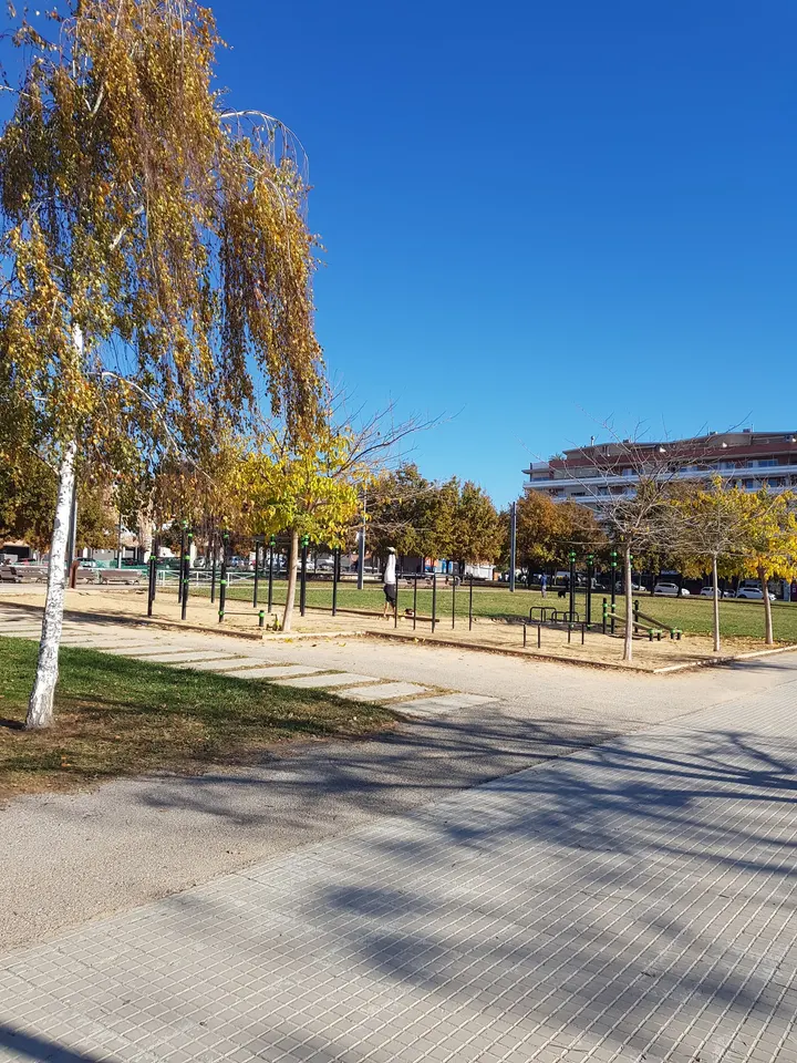 Barras Calistenia (Plaza de Can Roca) — calisthenics-studio en Terrassa — 3