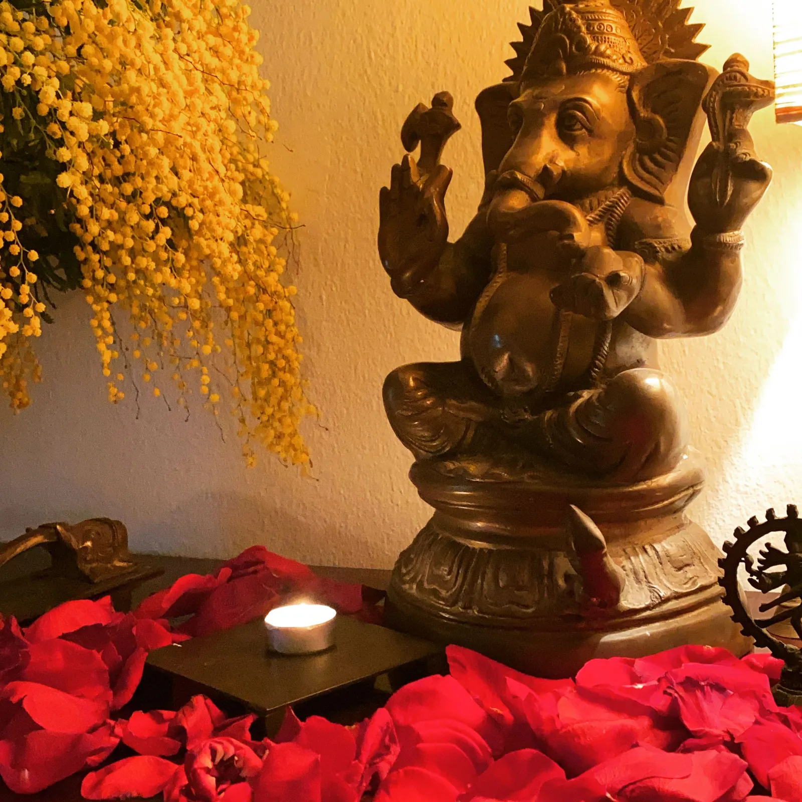 Ashtanga Yoga Shala Barcelona — yoga-studio i Ciutat Vella, Barcelona — bild 2