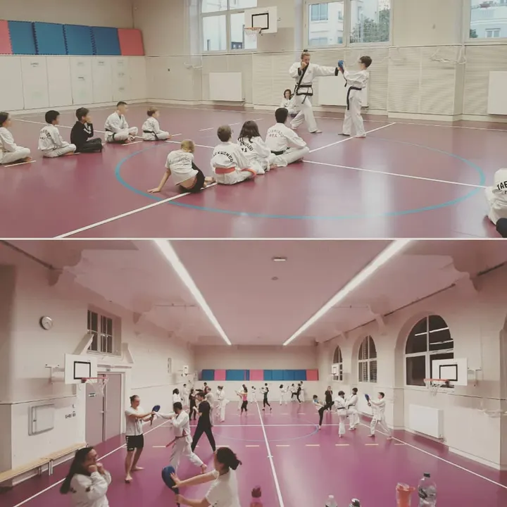 Association Taekwondo Strasbourg — arts martiaux-studio à Strasbourg — 3