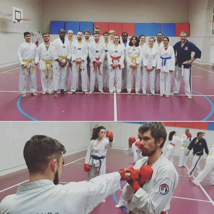 Association Taekwondo Strasbourg — arts martiaux-studio à Strasbourg — 4