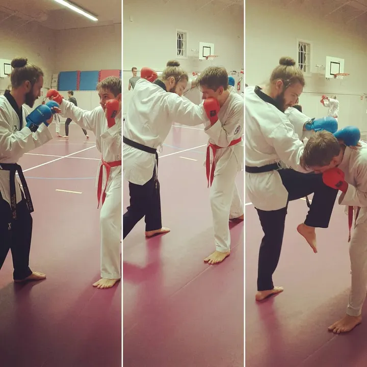 Association Taekwondo Strasbourg — arts martiaux-studio à Strasbourg — 5