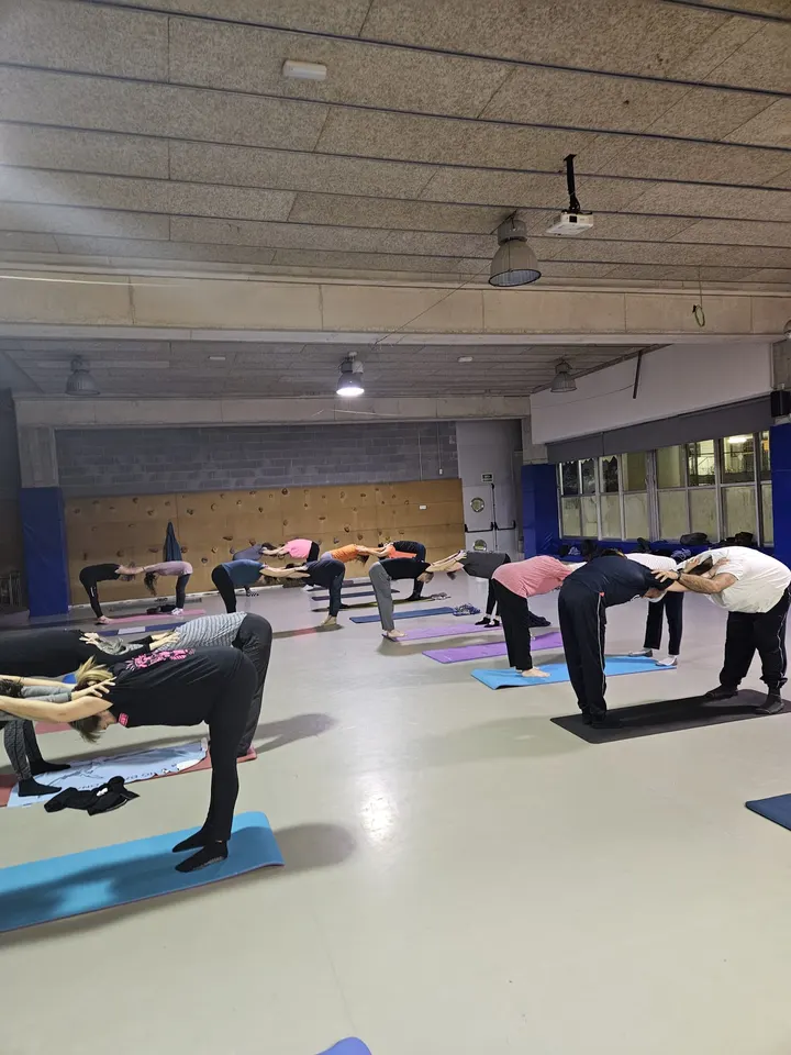 Yoga Van Zee — Yoga en Sant Crist de Can Cabanyes, Badalona