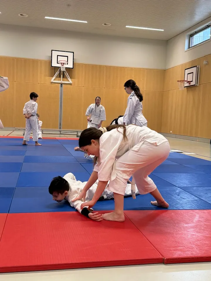 Aikido Leidscherijn — vechtsport-studio in Leidsche Rijn, Utrecht — 2