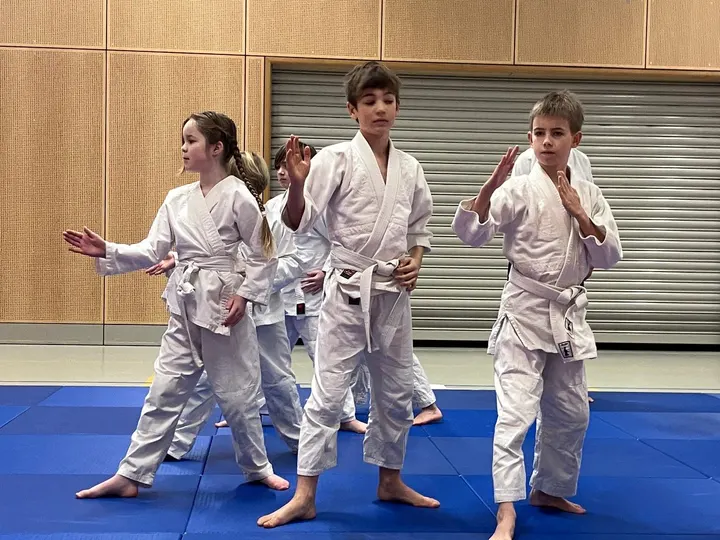 Aikido Leidscherijn — vechtsport-studio in Leidsche Rijn, Utrecht — 3
