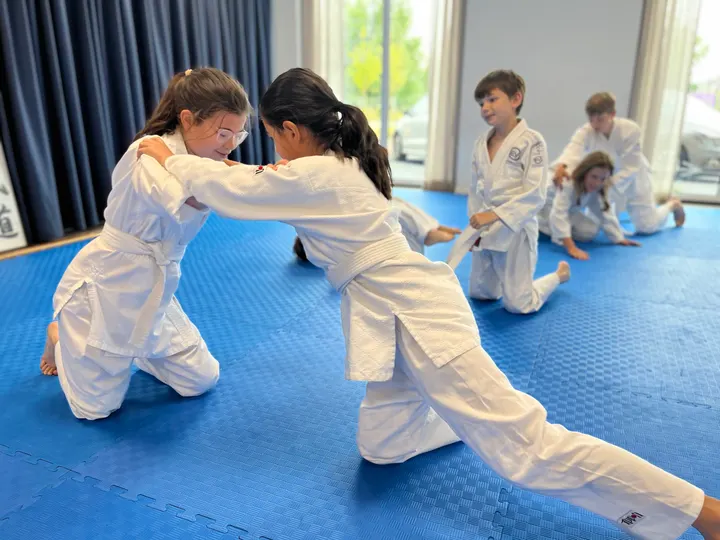Aikido Leidscherijn — vechtsport-studio in Utrecht — 3
