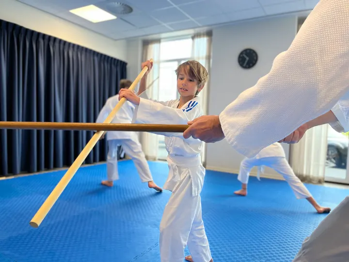 Aikido Leidscherijn — vechtsport-studio in Utrecht — 6