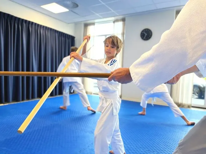 Aikido Leidscherijn — Vechtsport in Leidsche Rijn, Utrecht