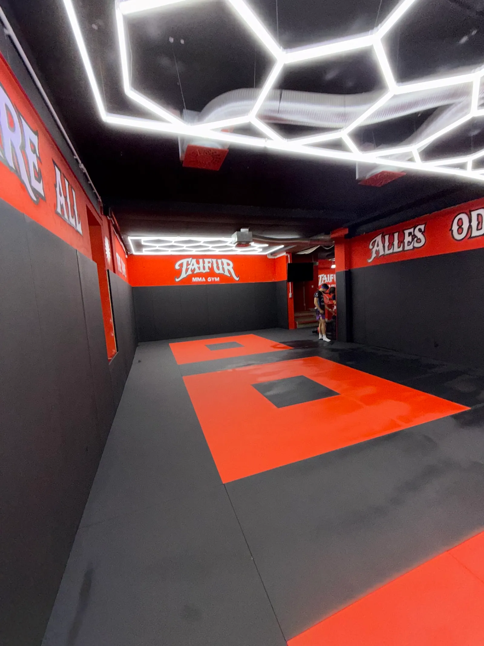 Kampfsportschule Taifur — boxen-studio in Heidenau — 3