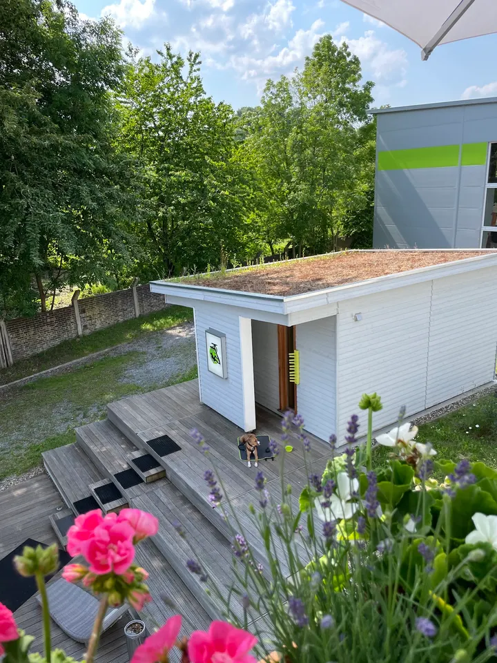 Kletterhalle Bergwerk — bouldern-studio in Dortmund — 5