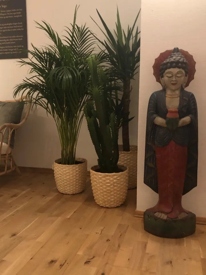 Inspirit Yoga Nathalie Rognaldsen — yoga-studio i Kristiansand S — 3
