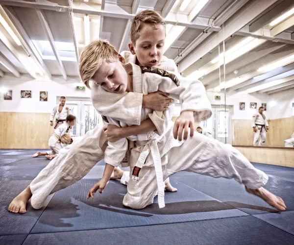 D-JITSU self-defense — bjj-studio in Wilgenwende, Dordrecht — 2