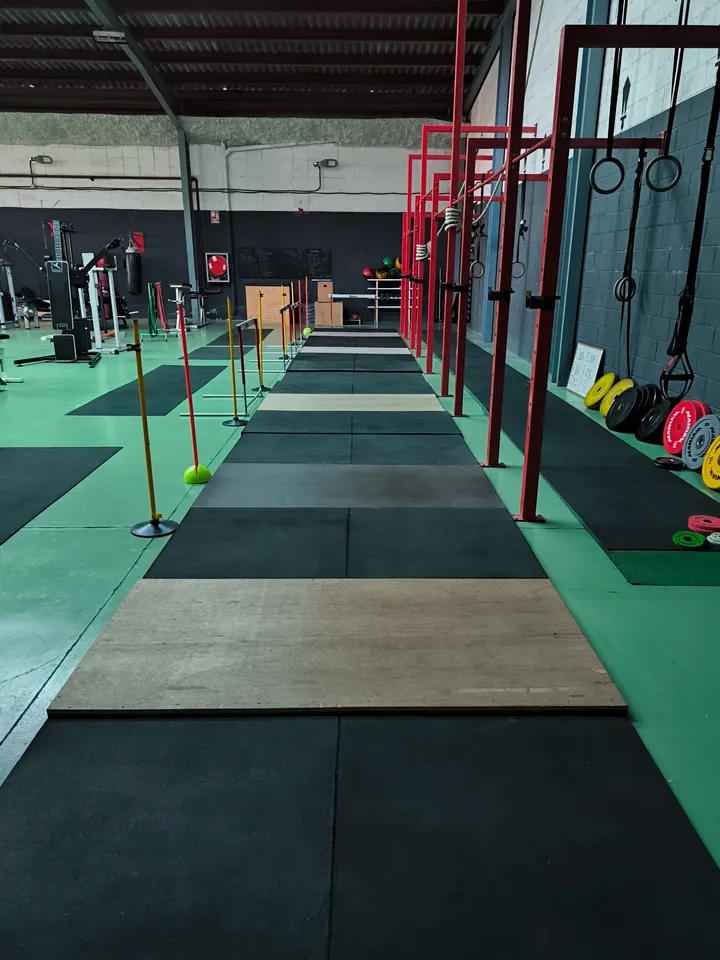 Gimnasio Club Esportiu Ludus — estudio de fitness-studio en La Canonja — 3