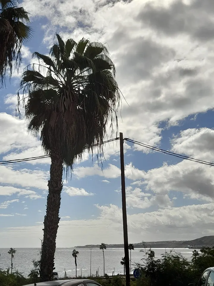 Centro deportivo Cono Sur — estudio de fitness-studio en Las Palmas de Gran Canaria — 3