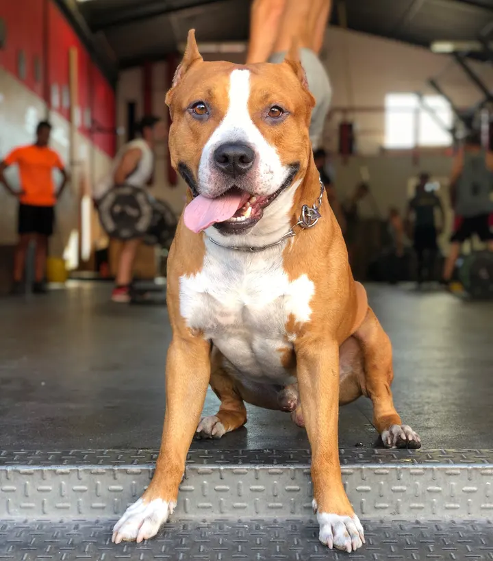 Box Zona Ocho — boxeo-studio en Marbella — 5