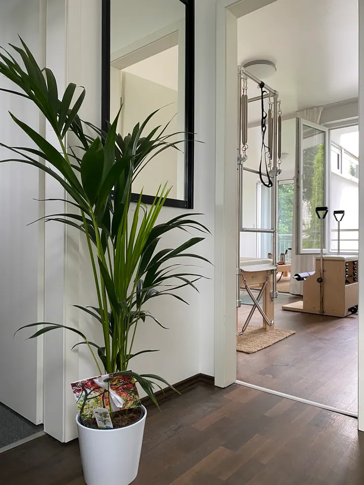 Pilates Metamorphosis — pilates-studio in Sonnenberg, Wiesbaden — 3