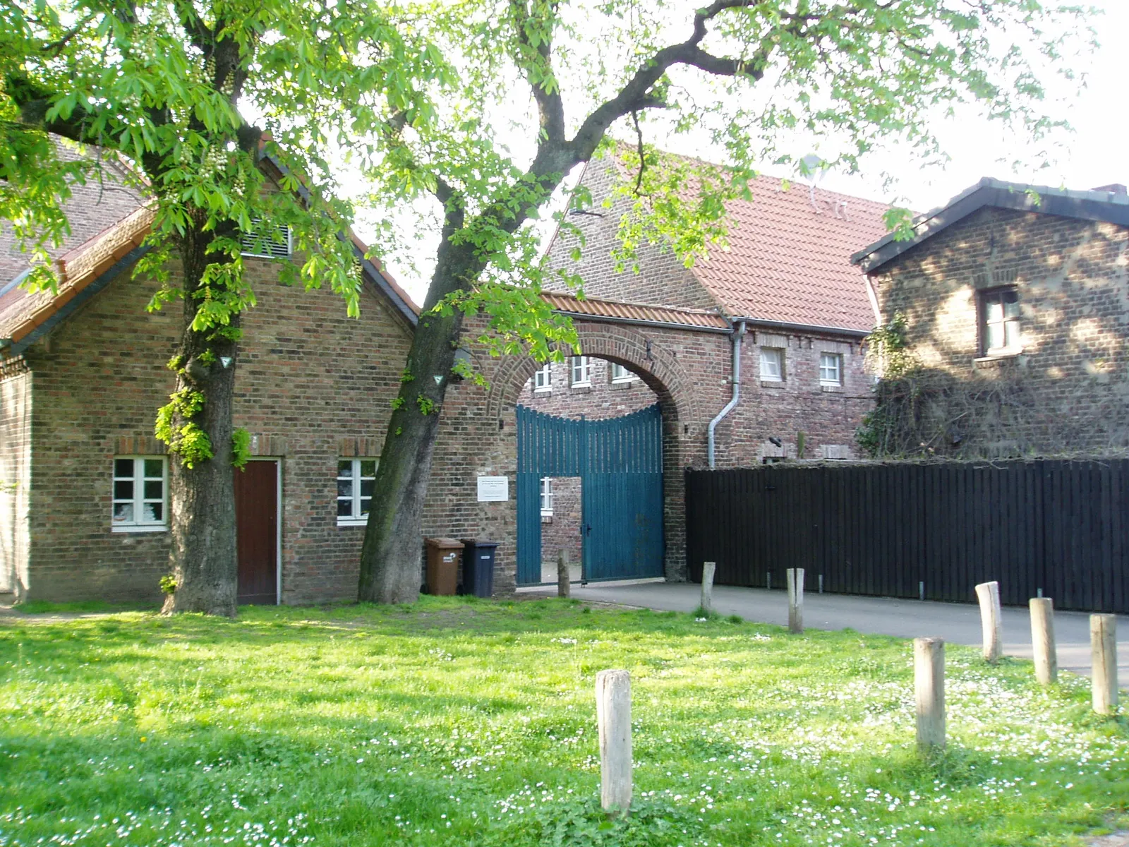 Dao Kuen Wing Tjun — kampsport-studio i Köln — 2