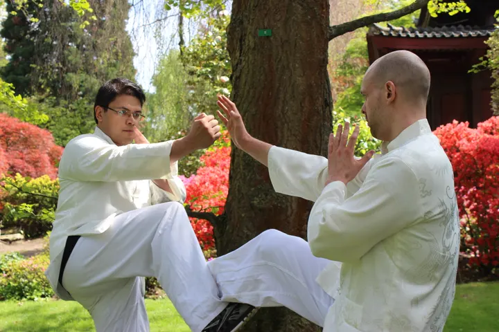 Dao Kuen Wing Tjun — Martial Arts in Westhoven, Köln