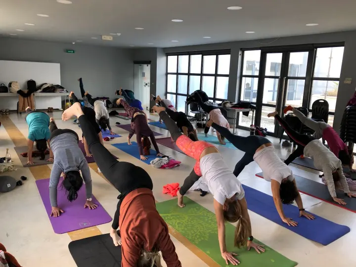 Instituto Português de Yoga — Breathwork em Parque das Nações, Lisboa