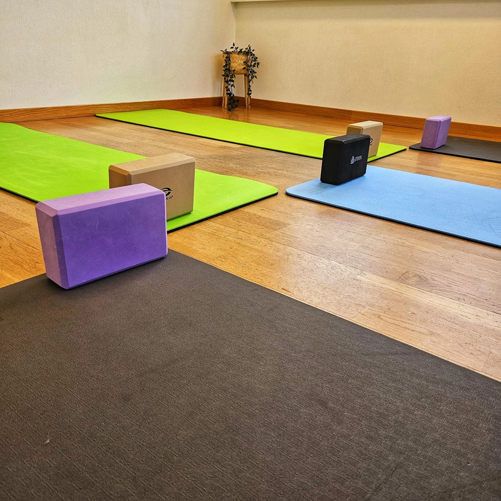 Yoga med Fimland — yoga-studio i Åsane, Bergen — 3
