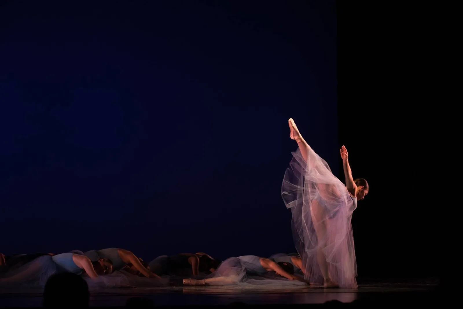 Escuela De Danza Clásica Marta Espuelas — baile-studio en Pamplona/Iruña — 4