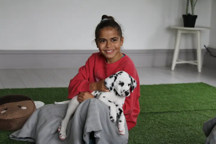 Puppy Yoga Club London — Yoga in Upper Norwood, London