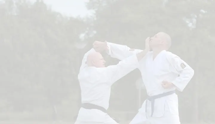 JiuJitsu Breda — vechtsport-studio in Gageldonk, Breda — 3