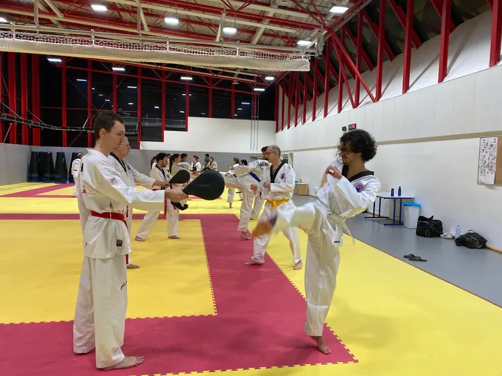 Taekwondo Lee Moon Ho Dojang — arts martiaux-studio à Île Beaulieu, Nantes — 2