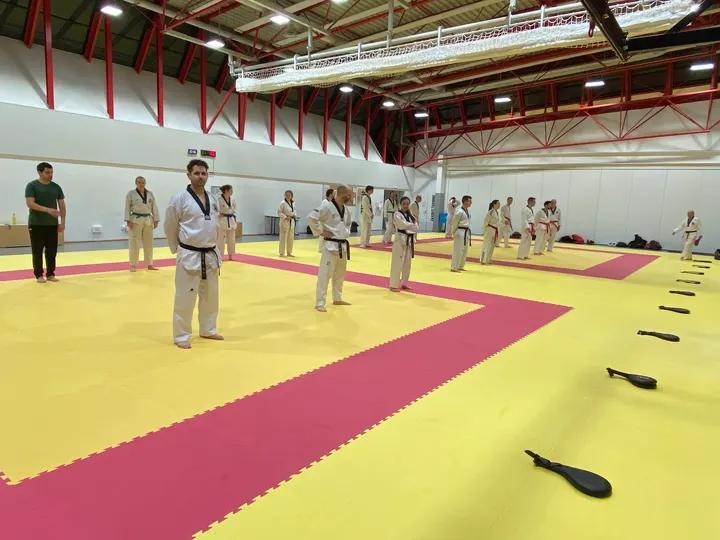 Taekwondo Lee Moon Ho Dojang — Arts martiaux à Île Beaulieu, Nantes