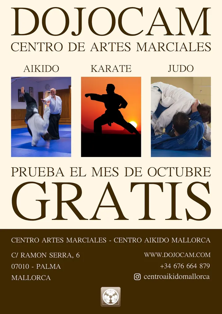 DOJO CENTRO DE AIKIDO MALLORCA — artes marciales-studio en es Camp Redó, Palma — 3
