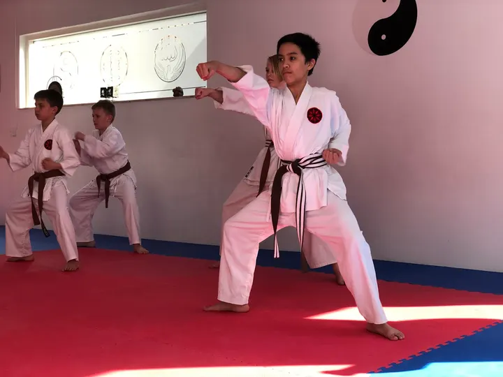 Shin Gi Tai Karate Center — kampsport-studio i Øgadekvarteret, Nørresundby — 2