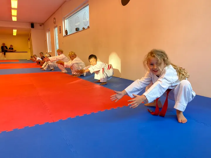 Shin Gi Tai Karate Center — kampsport-studio i Øgadekvarteret, Nørresundby — 3