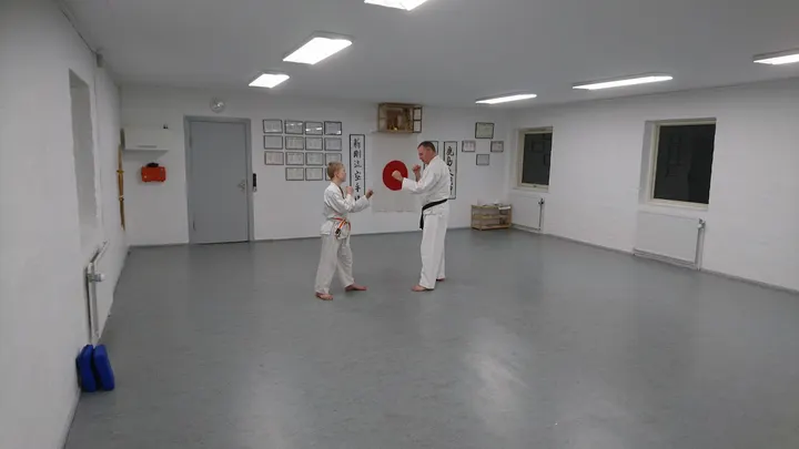 Shin-Go-Ryu — kampsport-studio i Markkvarteret, Næstved — 3