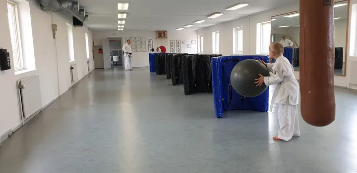 Shin-Go-Ryu — kampsport-studio i Næstved — 3