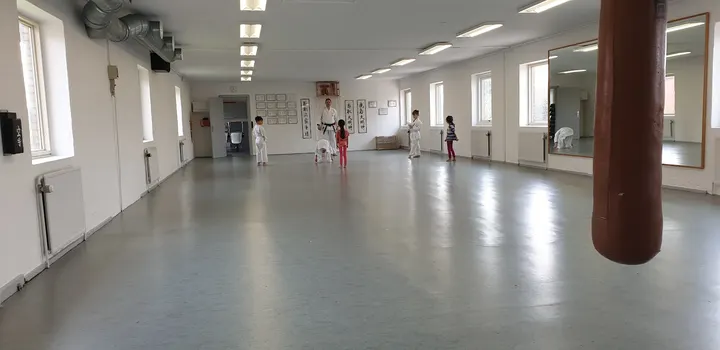 Shin-Go-Ryu — kampsport-studio i Næstved — 4