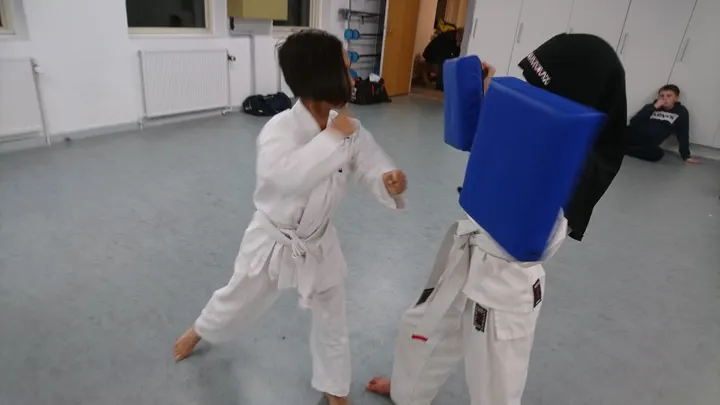 Shin-Go-Ryu — Kampsport i Markkvarteret, Næstved