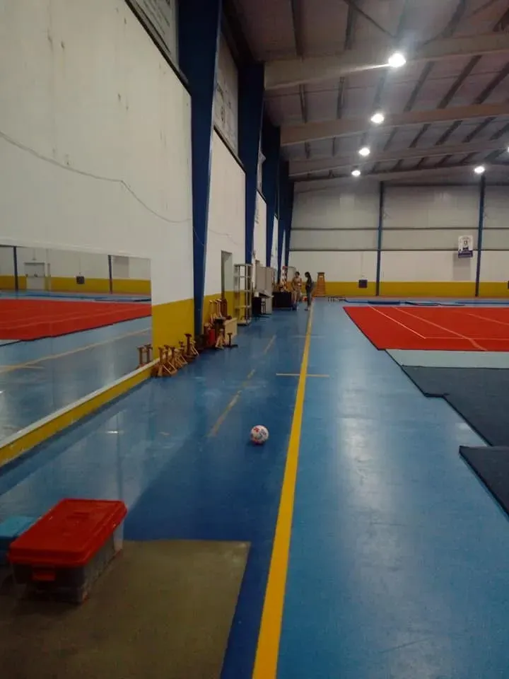 EGFA - Escola Ginástica Formação Acrobática — Ginástica em Portela da Mata, Leiria