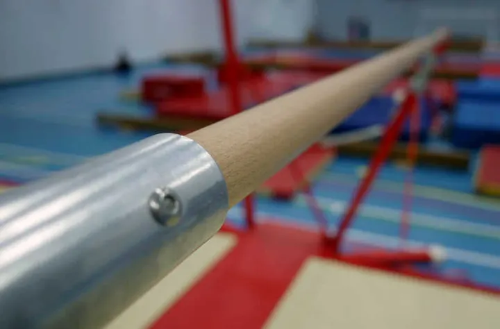 Thurrock Gymnastics Academy — gymnastics-studio in Little Thurrock, Grays — 2