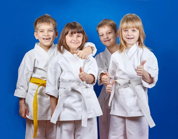 Judo Club Védasien — arts martiaux-studio à Saint-Jean-de-Védas, Montpellier — 2