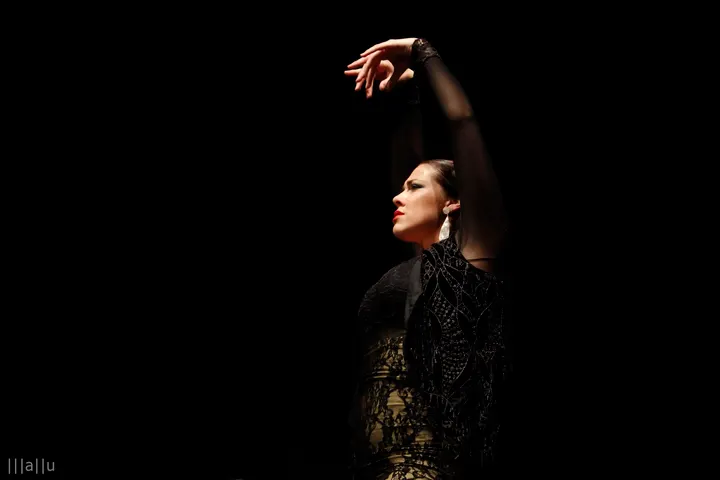 Escuela de Danza Azucena Rodríguez — baile-studio en Nueva Alcalá, Alcalá de Henares — 2