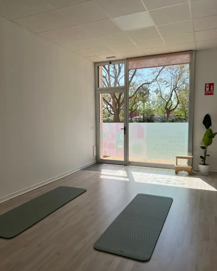Insaid Pilates & Wellness — pilates-studio en Castellón de la Plana — 5