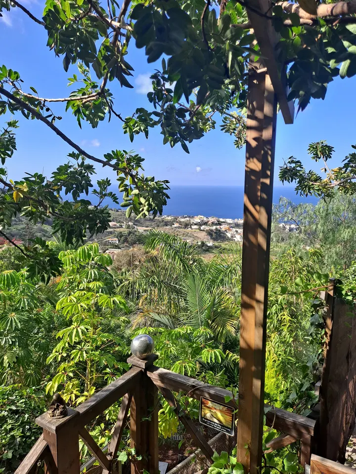 Yogsa — yoga-studio en La Guancha — 3