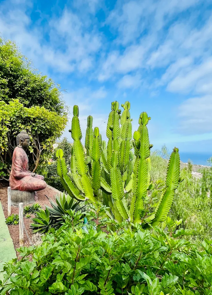 Yogsa — yoga-studio en La Guancha — 3