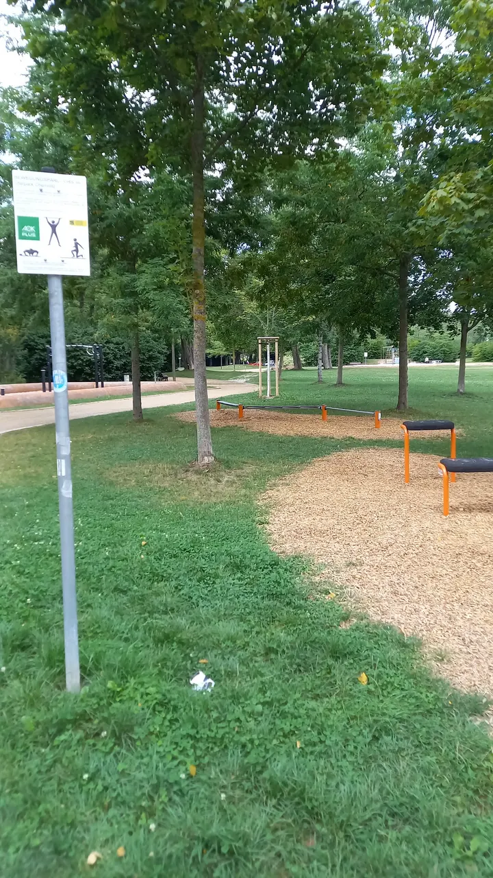 Calisthenics Park — calisthenics-studio in Chemnitz — 5
