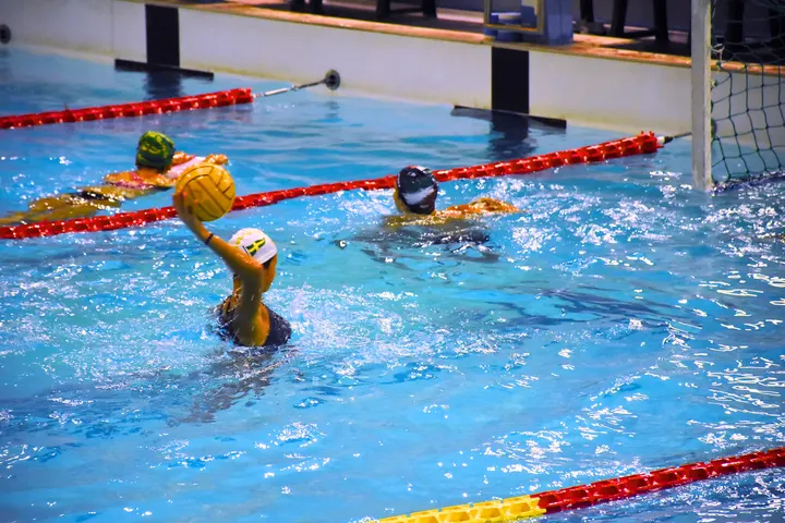 Asd Volturno Sporting Club — palestre-studio a Santa Maria Capua Vetere — 2