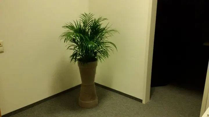 ChemnitzVital Wellness & Therapie GmbH — wellness-studio in Chemnitz — 3