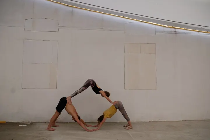 Le Chien Tête en Bas — yoga-studio à Saint-Hélier, Rennes — 3