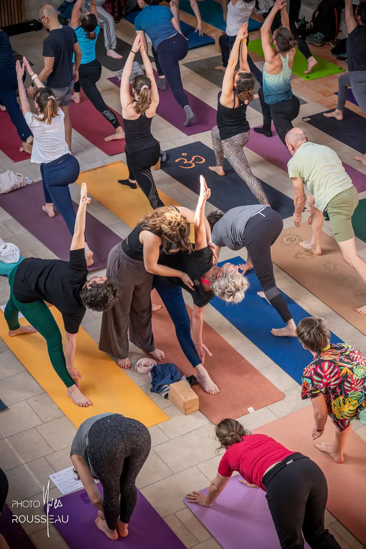 Le Chien Tête en Bas — yoga-studio à Rennes — 5